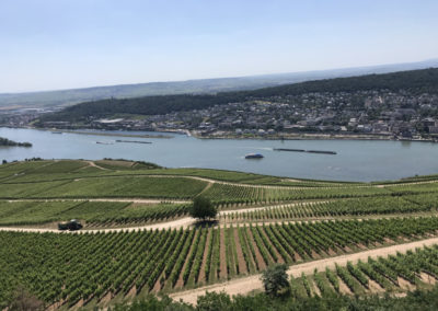 Rhein Radweg Ausblick Seilbahn Rüdesheim Weinberge
