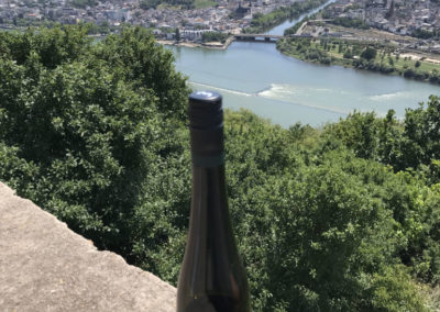 Rhein Radweg Ausblick Wein Rüdesheim